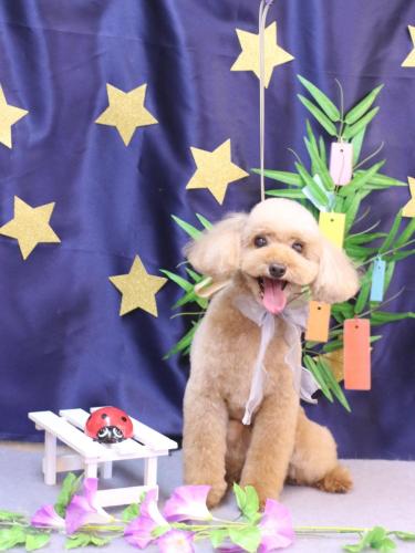 20230730うたちゃん